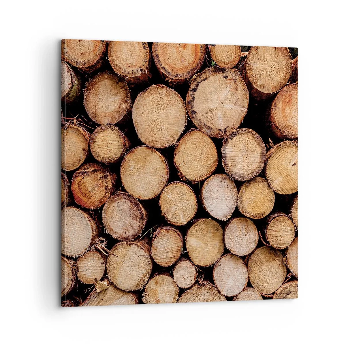 Bild auf Leinwand - Leinwandbild - Ein neuer Anfang - 60x60 cm