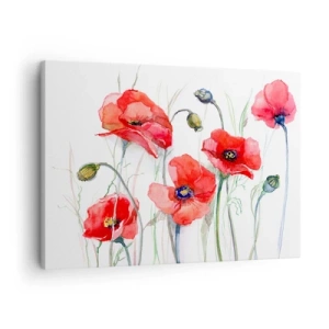 Bild auf Leinwand - Leinwandbild - Aquarell-Mohnblumen auf zartem Hintergrund - 70x50cm - Polnische Blumen - Moderne Wanddekoration für Wohnzimmer und Schlafzimmer ARTTOR