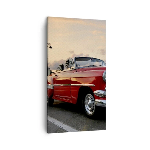 Bild auf Leinwand - Leinwandbild - Die rote Hitze der Tropen - 45x80 cm