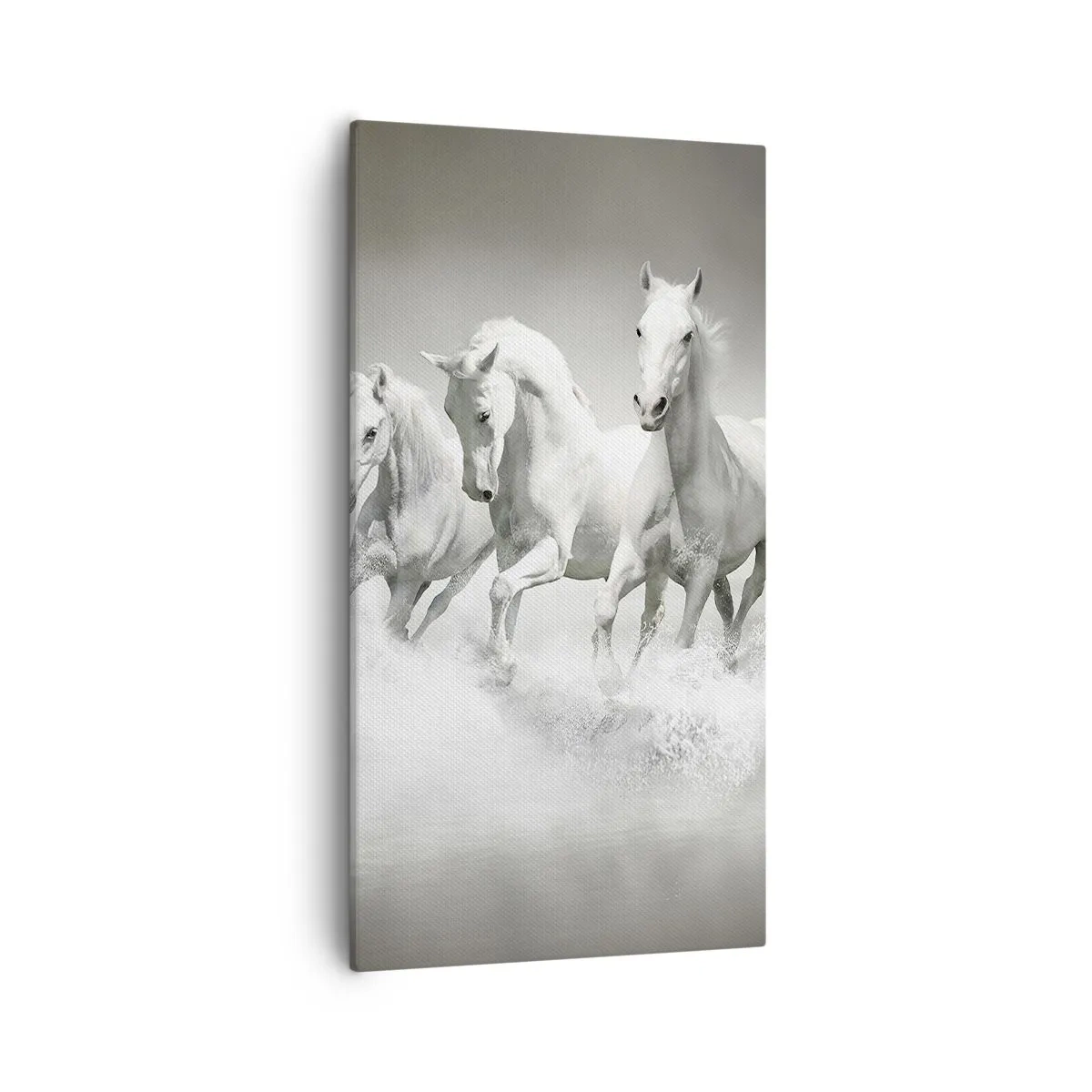Bild auf Leinwand - Leinwandbild - Weißer Wahnsinn - 55x100 cm