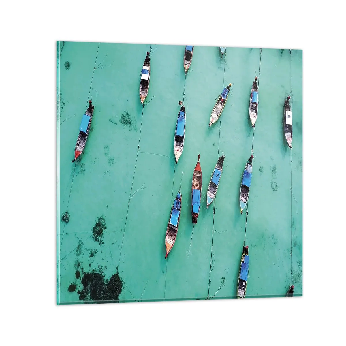 Glasbild - Bild auf glas - In freudiger Erwartung - 50x50 cm