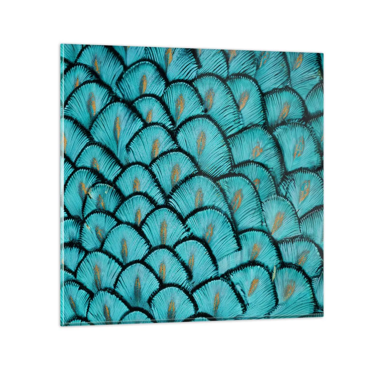 Glasbild - Bild auf glas - Große Federgala - 30x30 cm