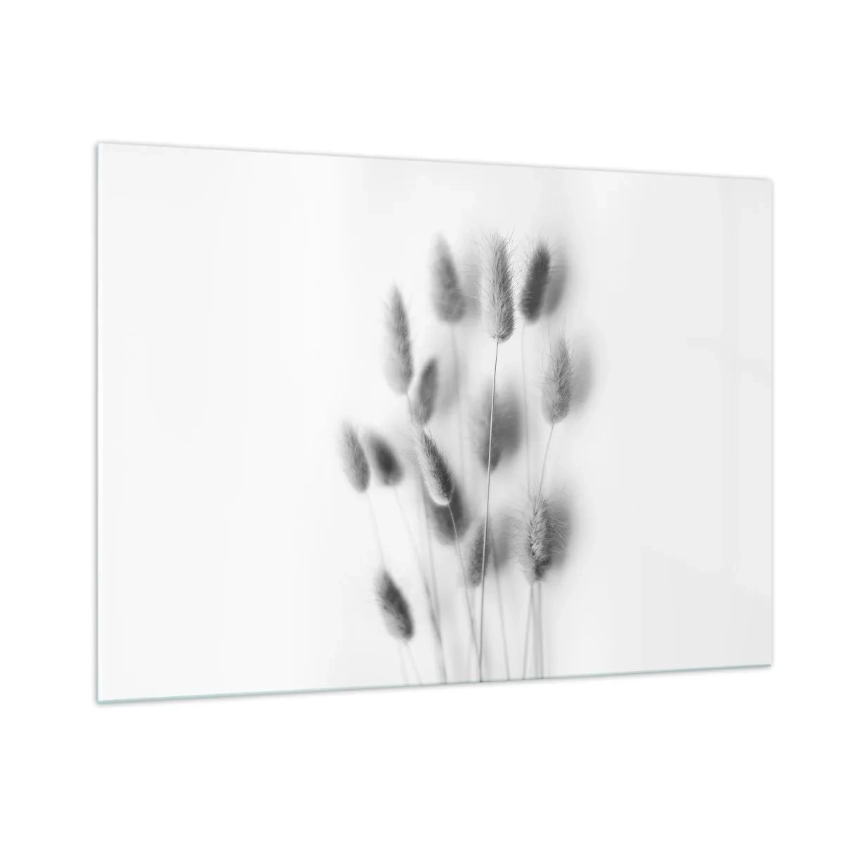 Glasbild - Bild auf glas - Schwarz-weiße Grasähren auf hellem Hintergrund im minimalistischen Stil - 100x70cm - Eure flauschige Grashoheit - Moderne Wanddekoration für Wohnzimmer und Schlafzimmer ARTTOR