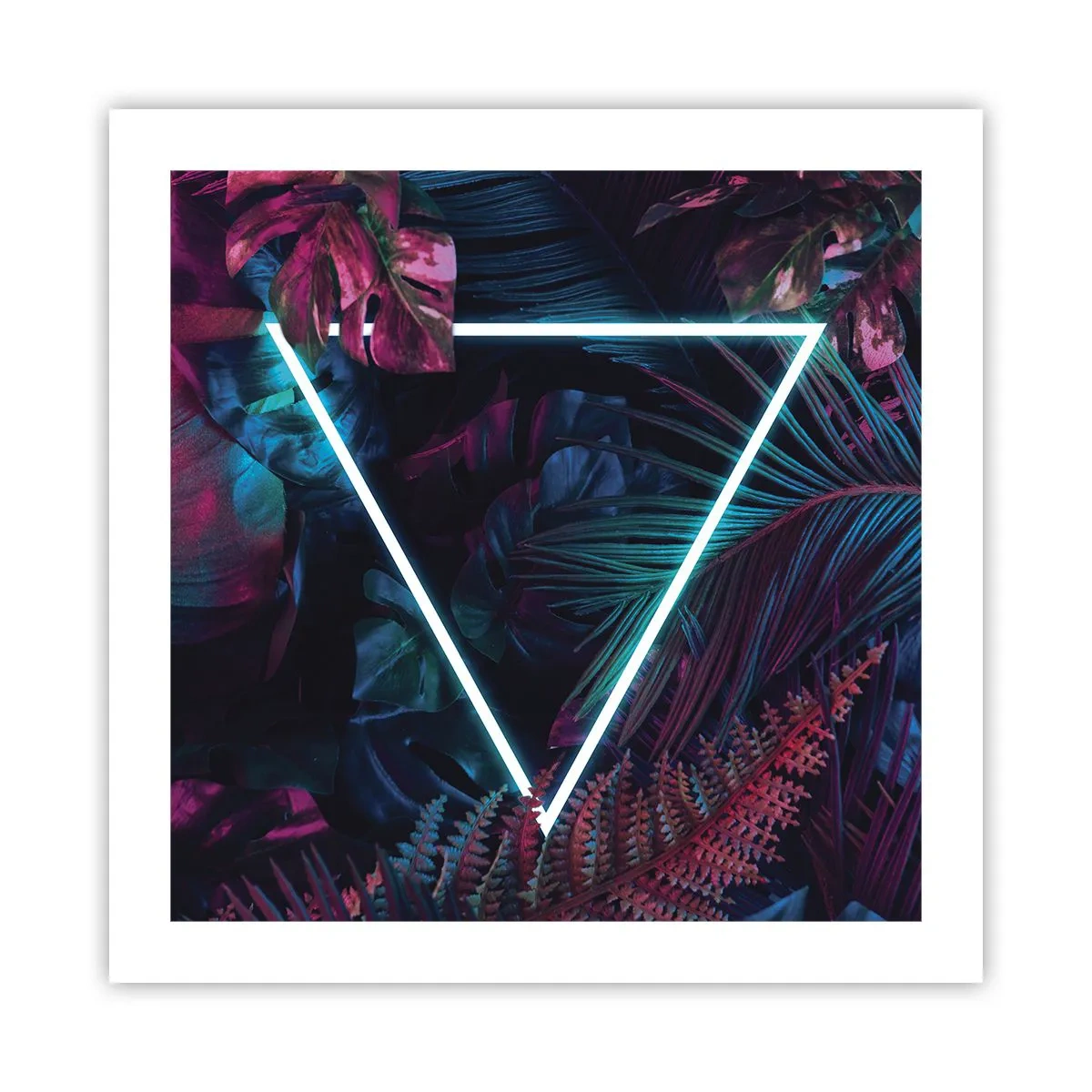 Poster - Garten im Disco-Stil - 50x50 cm