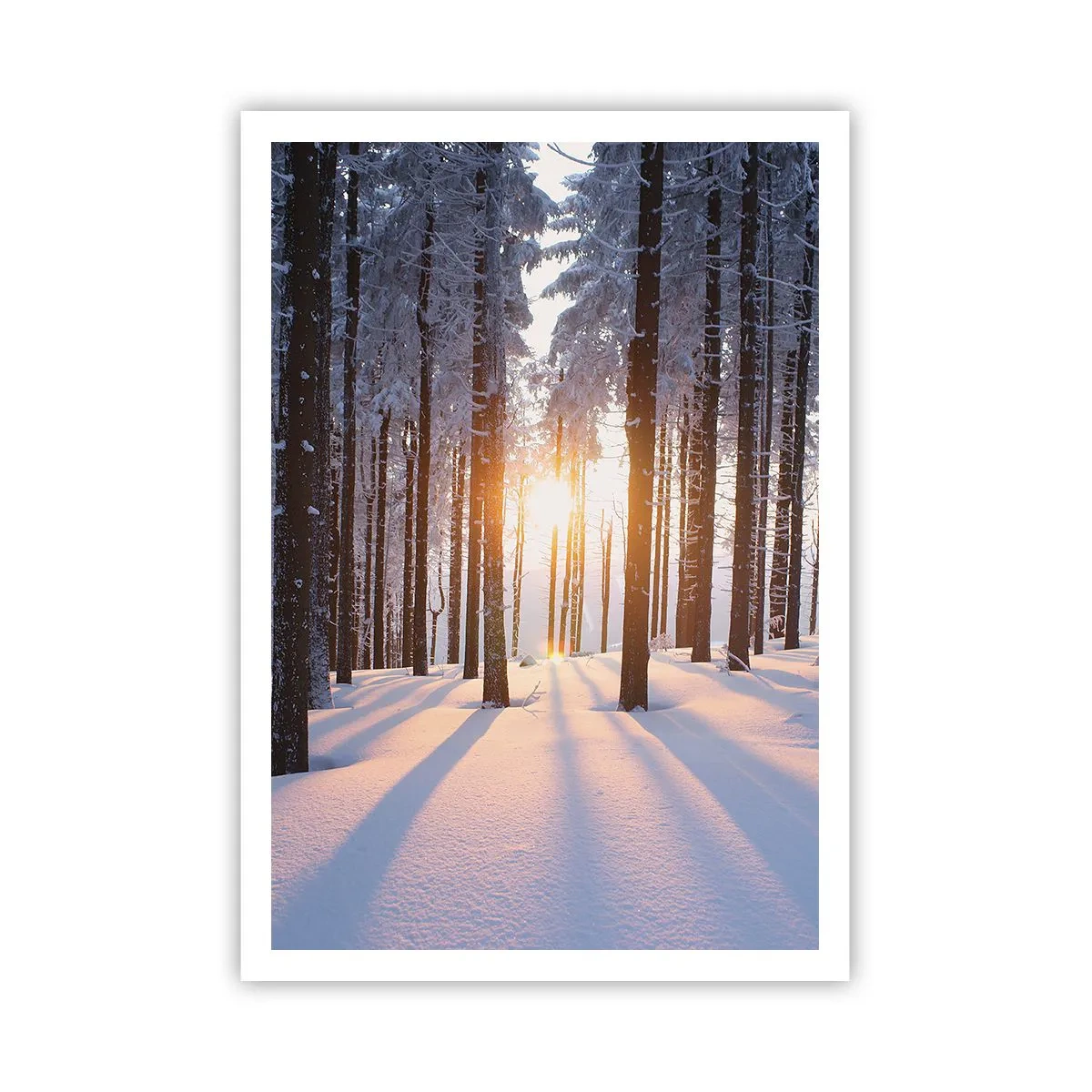 Poster - Ganz klar schwarz auf weiß - 70x100 cm