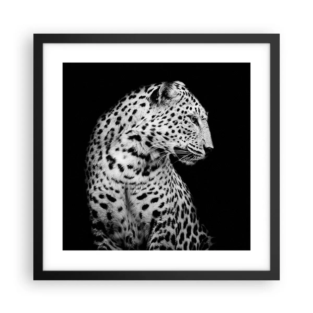 Poster in einem schwarzem Rahmen - Rechtes Profil perfekt! - 40x40 cm