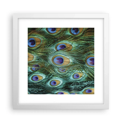 Poster in einem weißen Rahmen - Ein Blick mit Pfauenaugen - 30x30 cm