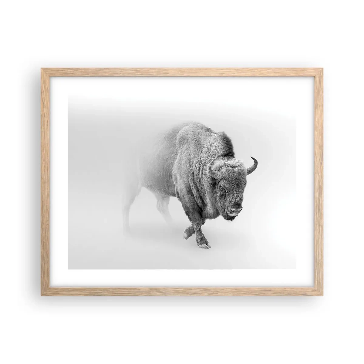 Poster in einem Rahmen aus heller Eiche - König der Prärie - 50x40 cm