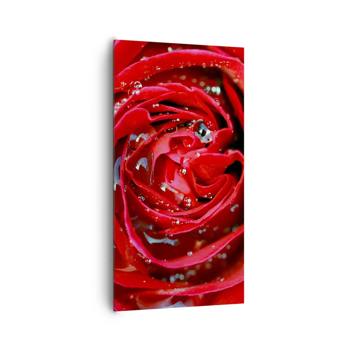 Bild auf Leinwand - Leinwandbild - In den Tautropfen - 65x120 cm