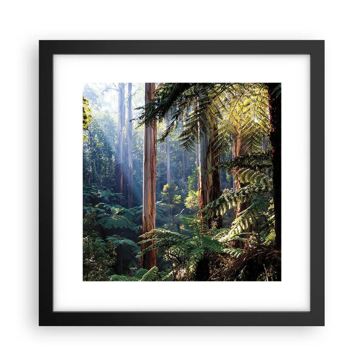 Poster in einem schwarzem Rahmen - Ein Waldmärchen - 30x30 cm