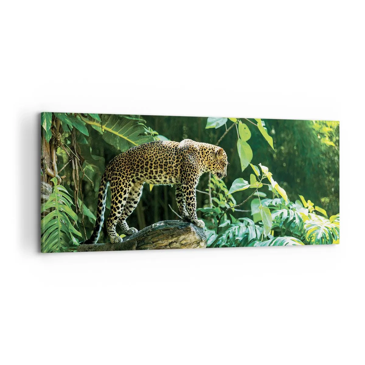 Bild auf Leinwand - Leinwandbild - Auf die Jagd? - 100x40 cm