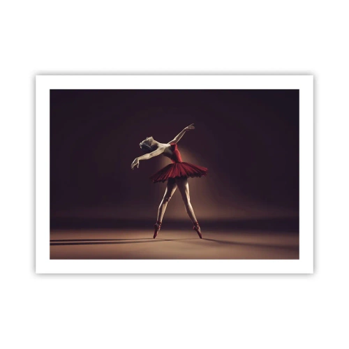 Poster - Eine Primaballerina - 70x50 cm