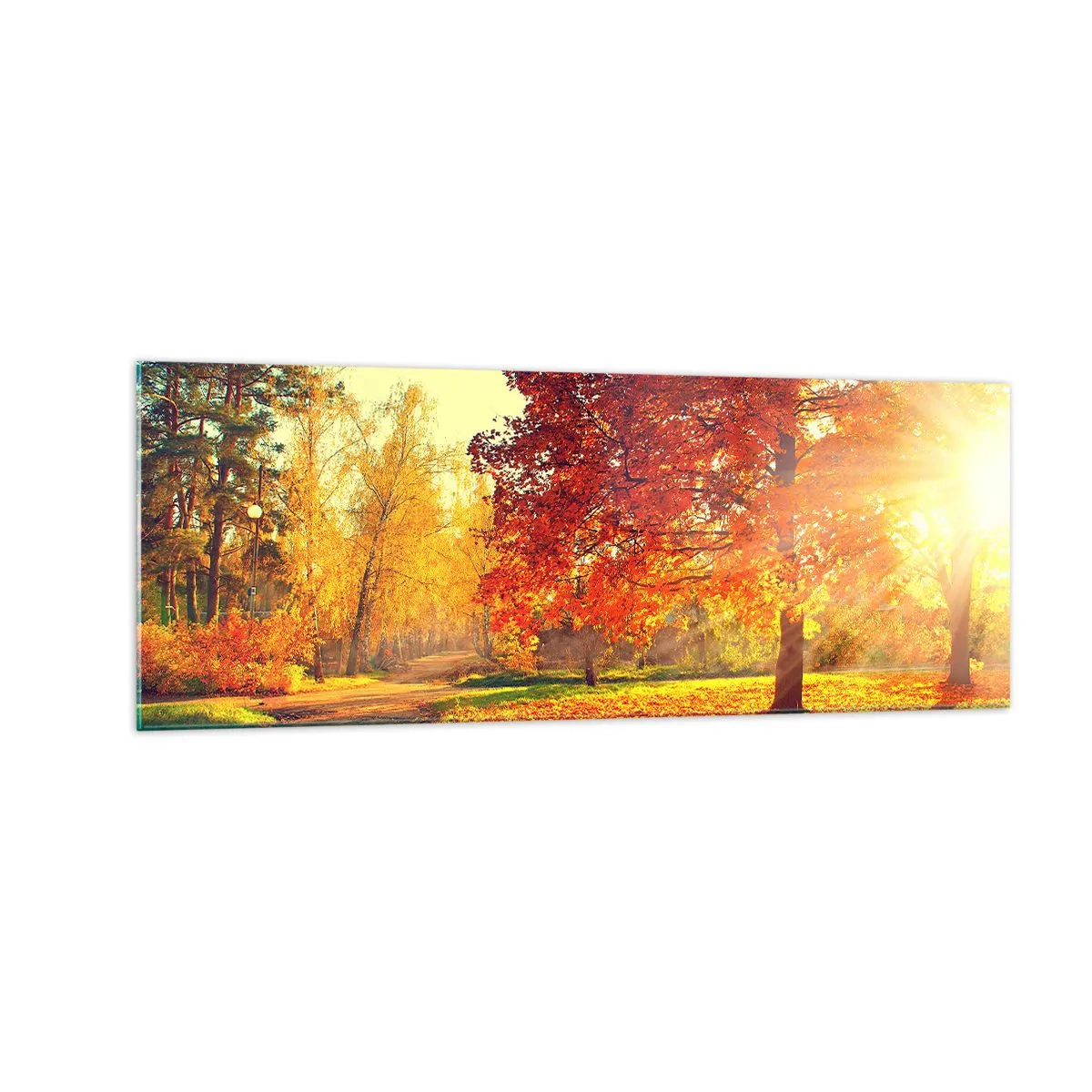 Glasbild - Bild auf glas - Herbstpark im Sonnenlicht - 140x50cm - Unhöflich ist schön - Moderne Wanddekoration für Wohnzimmer und Schlafzimmer ARTTOR