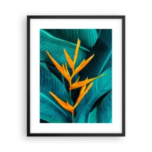 Poster in einem schwarzem Rahmen - Eden-Blume - 40x50 cm
