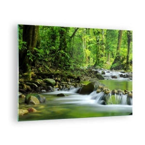 Glasbild - Bild auf glas - Ein Waldbach, umgeben von üppiger Vegetation - 70x50cm - Schwimmen Sie in einem Meer aus Grün - Moderne Wanddekoration für Wohnzimmer und Schlafzimmer ARTTOR