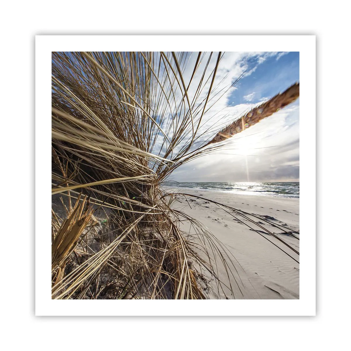 Poster - Ein Treffen der Elemente der Natur - 60x60 cm