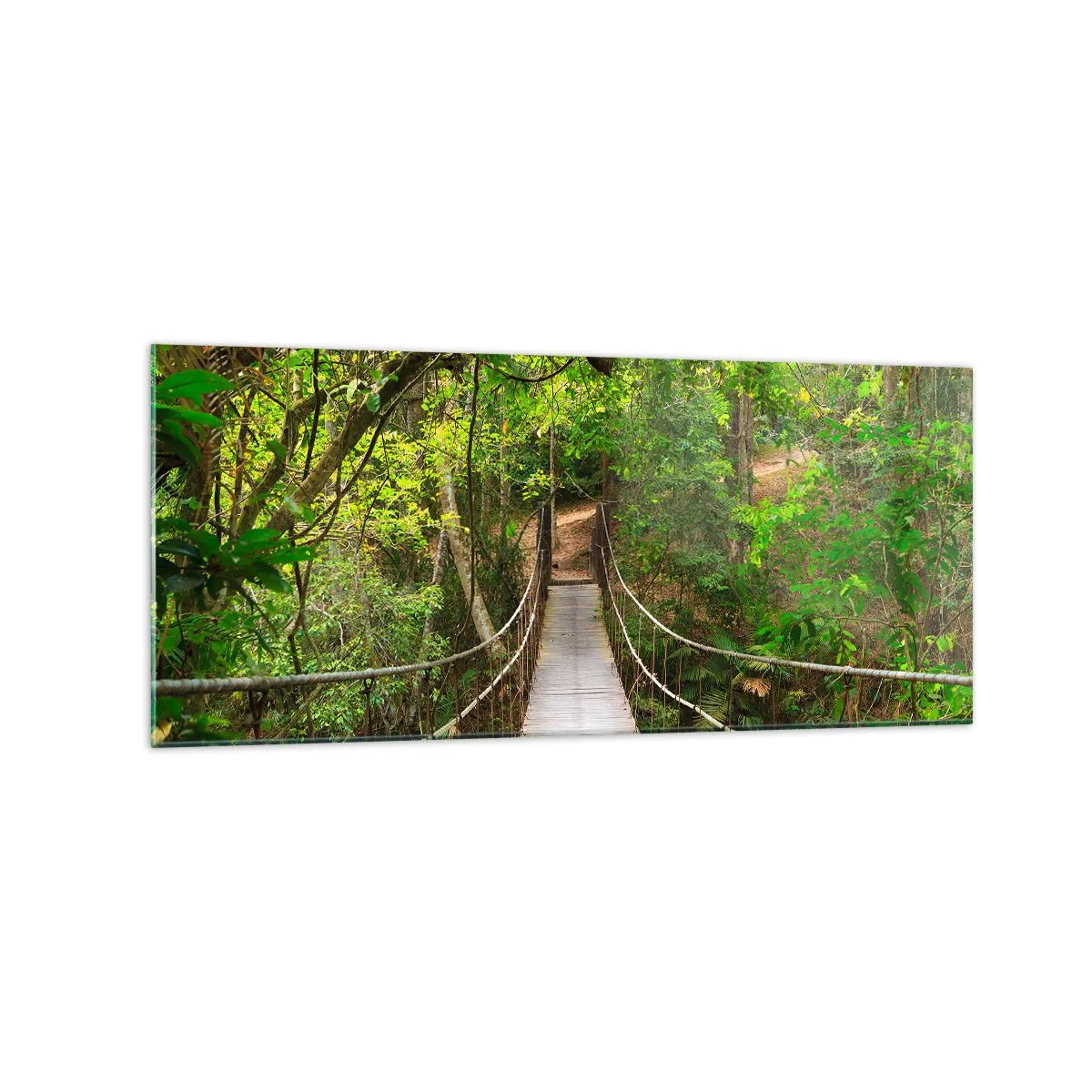 Glasbild - Bild auf glas - Eine Hängebrücke umgeben von einem grünen Regenwald - 120x50cm - Denn im Garten gibt es eine Schlingpflanze - Moderne Wanddekoration für Wohnzimmer und Schlafzimmer ARTTOR