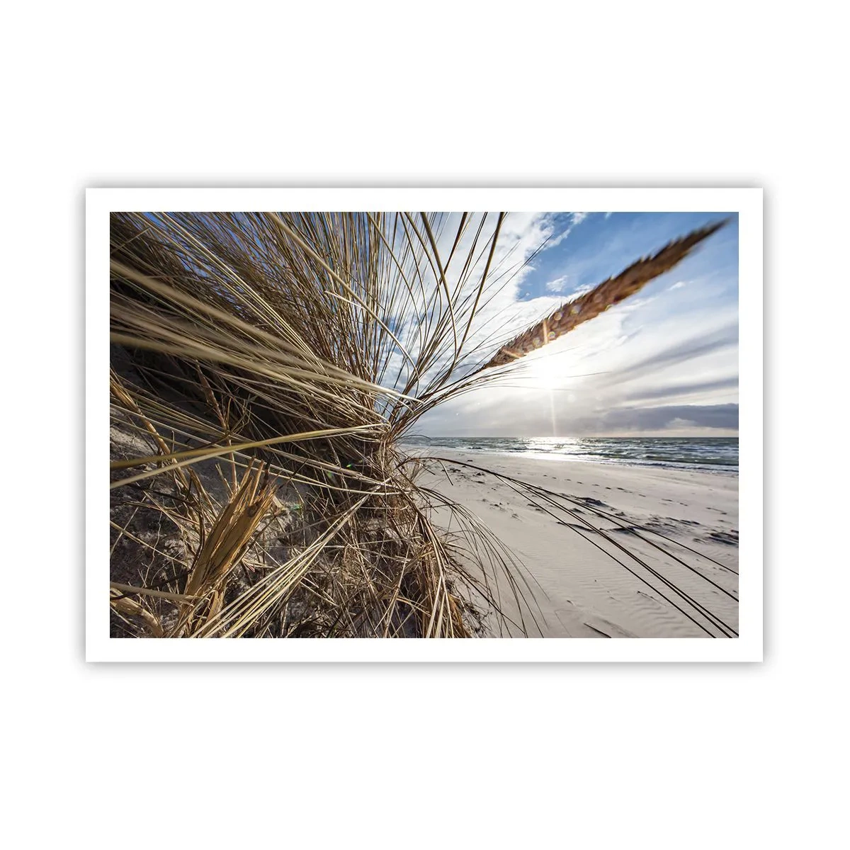 Poster - Ein Strand mit trockenem Gras auf den Dünen und Blick auf das Meer - 100x70cm - Ein Treffen der Elemente der Natur - Moderne Wanddekoration für Wohnzimmer und Schlafzimmer ARTTOR