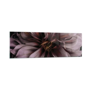 Glasbild - Bild auf glas - Nahaufnahme einer großen Blume in dezenten Farben - 160x50cm - Ein Blumenherz - Moderne Wanddekoration für Wohnzimmer und Schlafzimmer ARTTOR
