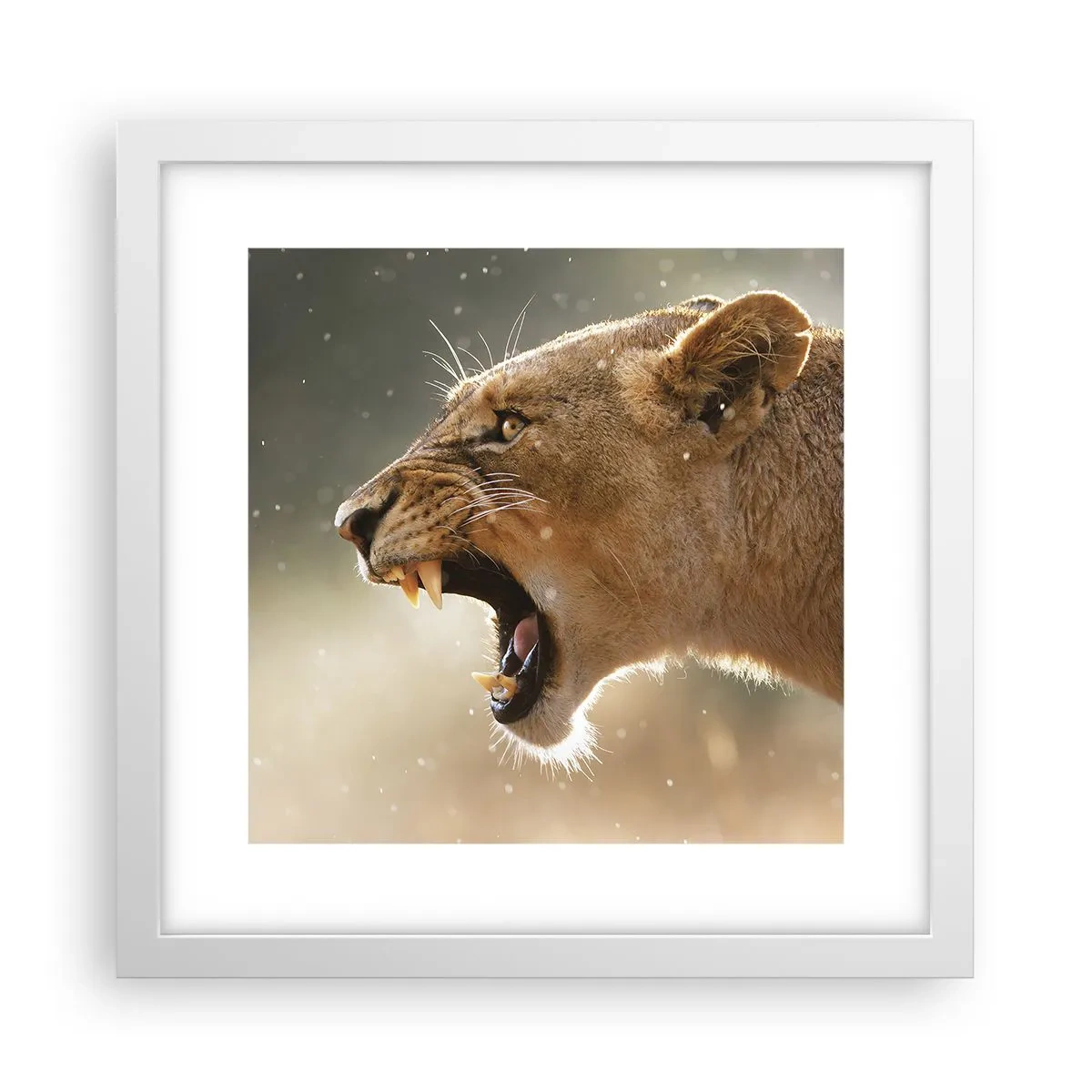 Poster in einem weißen Rahmen - Versuch, nicht zuzuhören - 30x30 cm