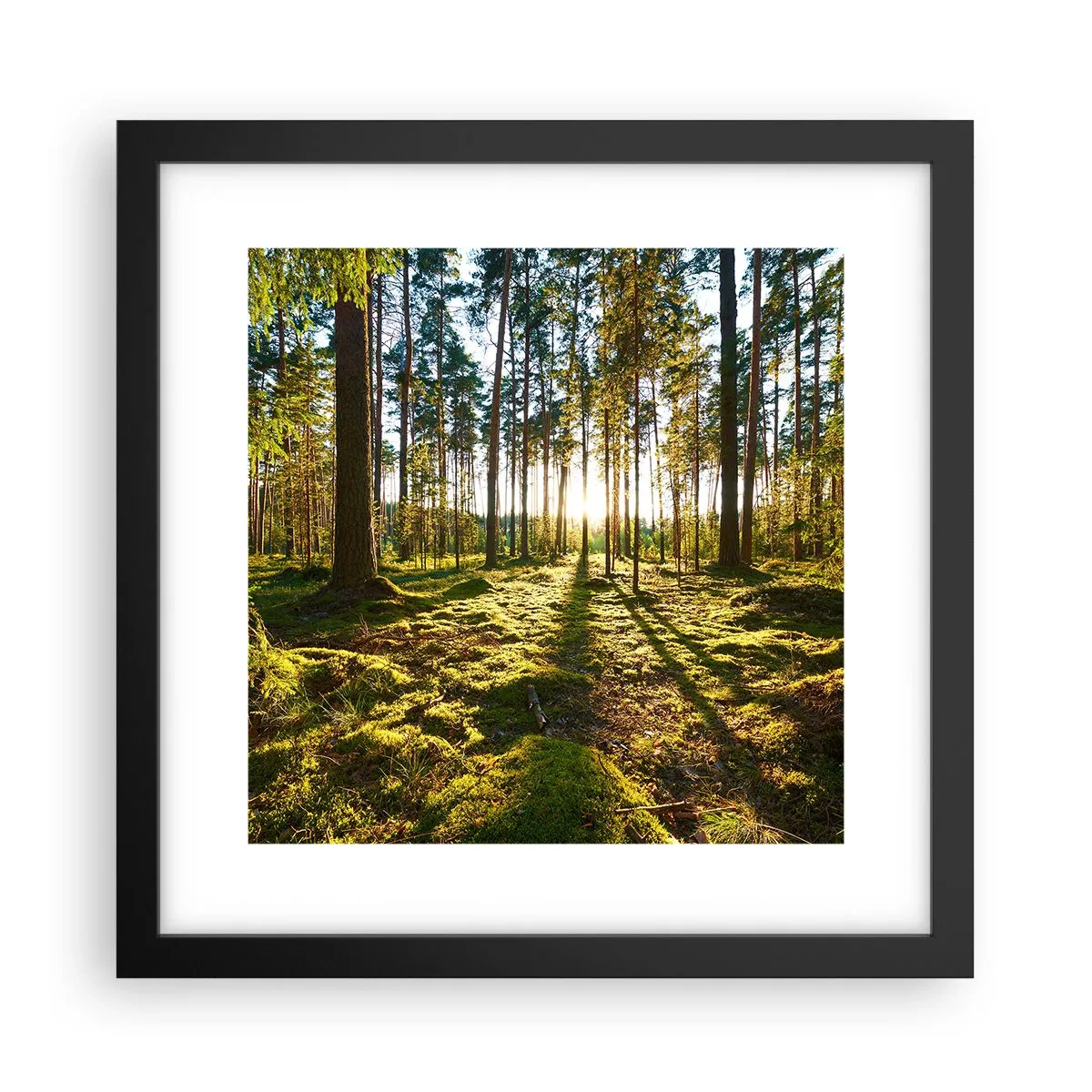Poster in einem schwarzem Rahmen - … Hinter den sieben Wäldern - 30x30 cm