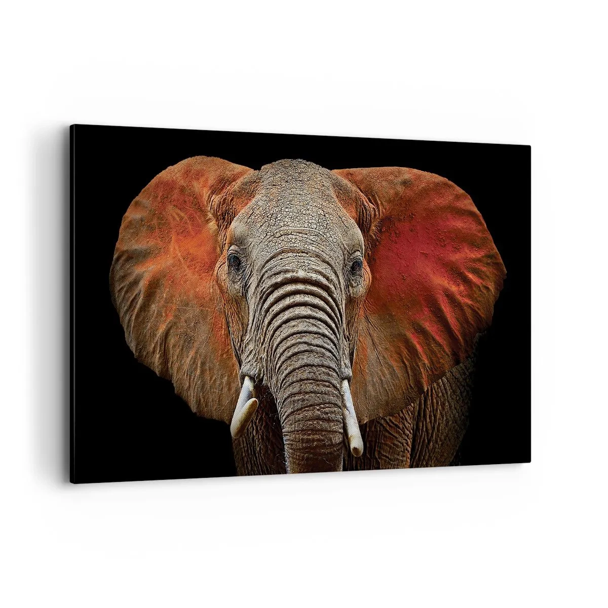 Bild auf Leinwand - Leinwandbild - Porträt eines Elefanten auf schwarzem Hintergrund - 120x80cm - Ich bin wild und du? - Moderne Wanddekoration für Wohnzimmer und Schlafzimmer ARTTOR