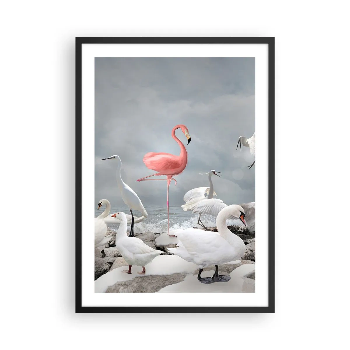 Poster in einem schwarzem Rahmen - Ein rosa Flamingo, umgeben von weißen Vögeln vor dem Himmel - 50x70cm - Wie kam ich hier hin? - Moderne Wanddekoration für Wohnzimmer und Schlafzimmer ARTTOR