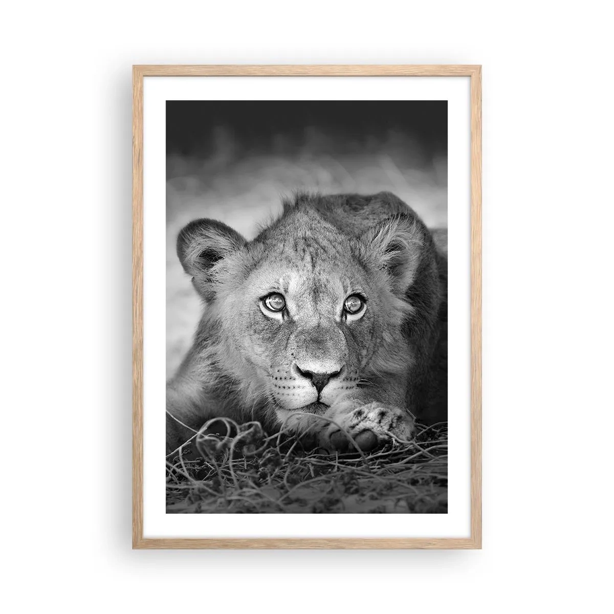Poster in einem Rahmen aus heller Eiche - Königlicher Welpe - 50x70 cm