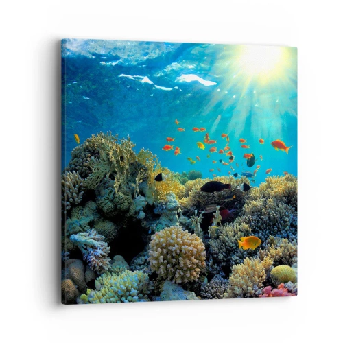 Bild auf Leinwand - Leinwandbild - Unterwasserschätze - 40x40 cm