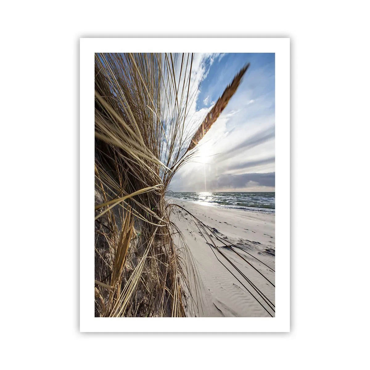 Poster - Strand mit Blick aufs Meer und Gras in der Sonne - 50x70cm - Ein Treffen der Elemente der Natur - Moderne Wanddekoration für Wohnzimmer und Schlafzimmer ARTTOR