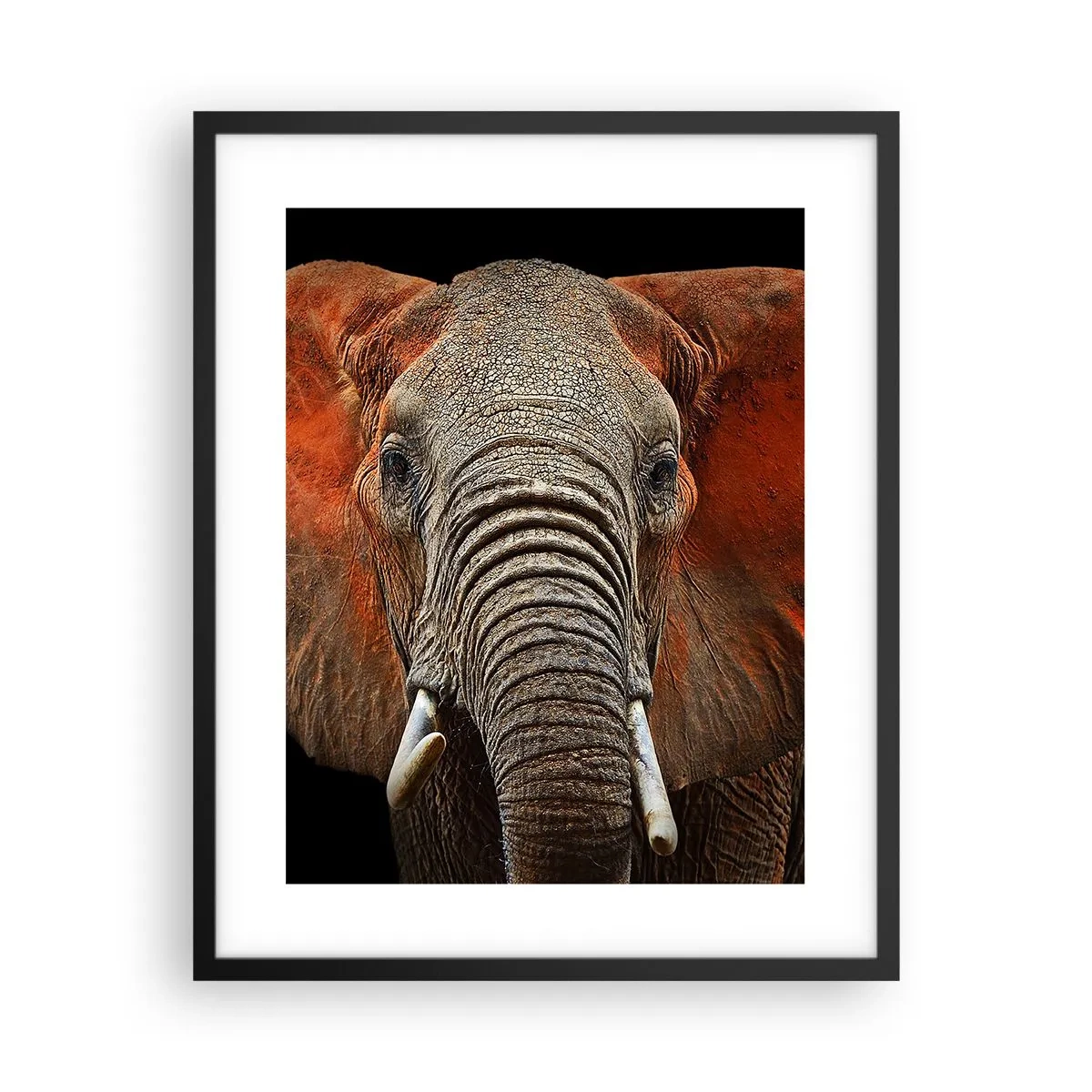 Poster in einem schwarzem Rahmen - Ich bin wild und du? - 40x50 cm