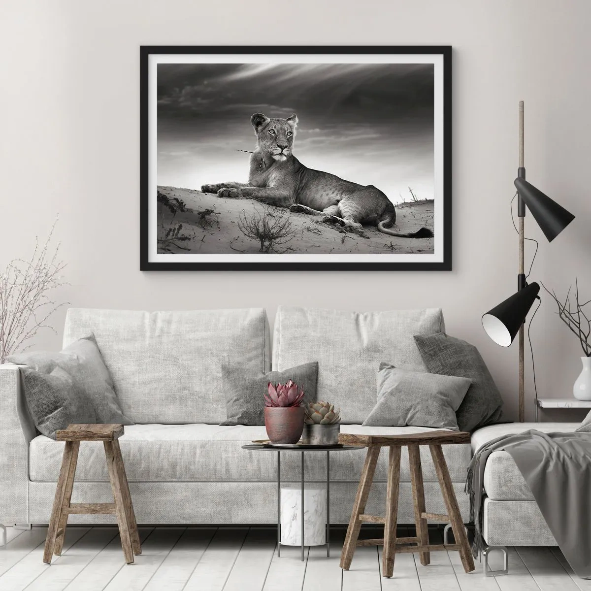 Poster in einem schwarzem Rahmen - Die Königin der Wüstenruhe - 50x40 cm