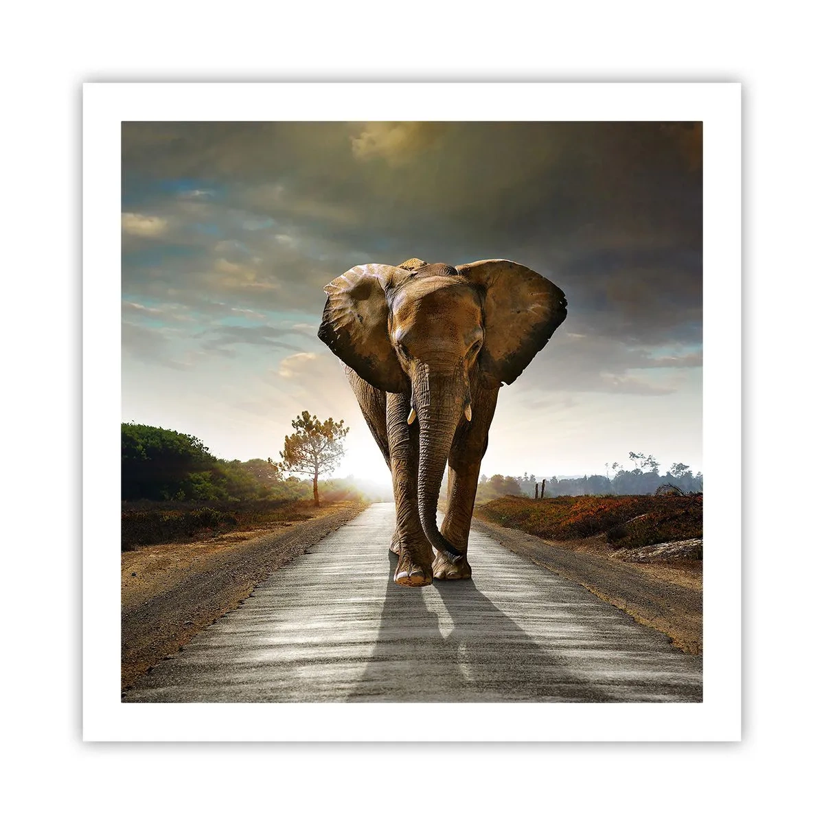 Poster - Und schon gar nicht in einem Porzellanlager - 60x60 cm