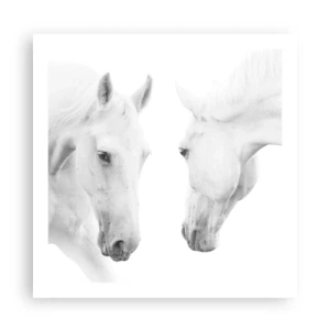 Poster - Ist das Freundschaft...? - 60x60 cm