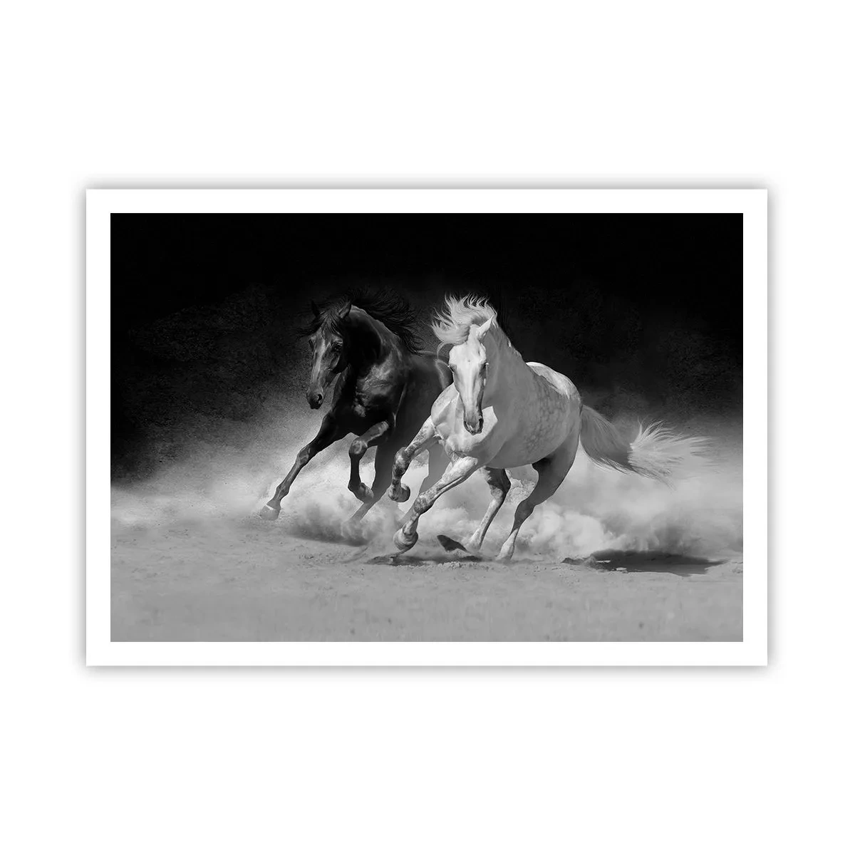 Poster - Laufende Pferde in Schwarz und Weiß - 100x70cm - Galopp der Freiheit - Moderne Wanddekoration für Wohnzimmer und Schlafzimmer ARTTOR