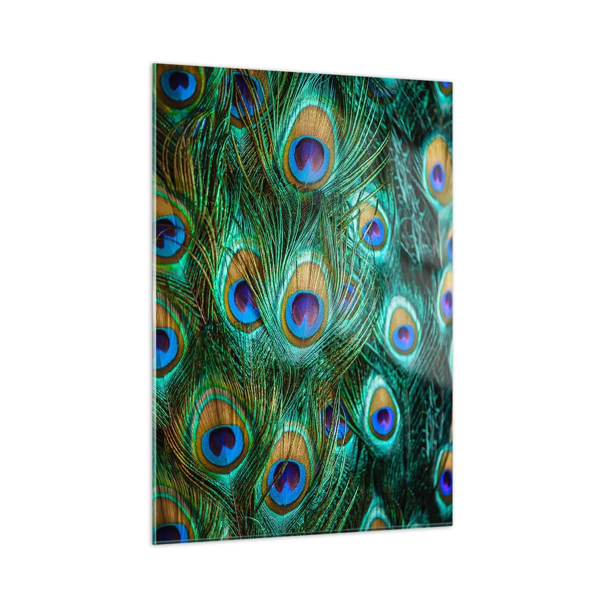 Glasbild - Bild auf glas - Detail von Pfauenfedern mit ausgeprägten Augen - 50x70cm - Ein Blick mit Pfauenaugen - Moderne Wanddekoration für Wohnzimmer und Schlafzimmer ARTTOR
