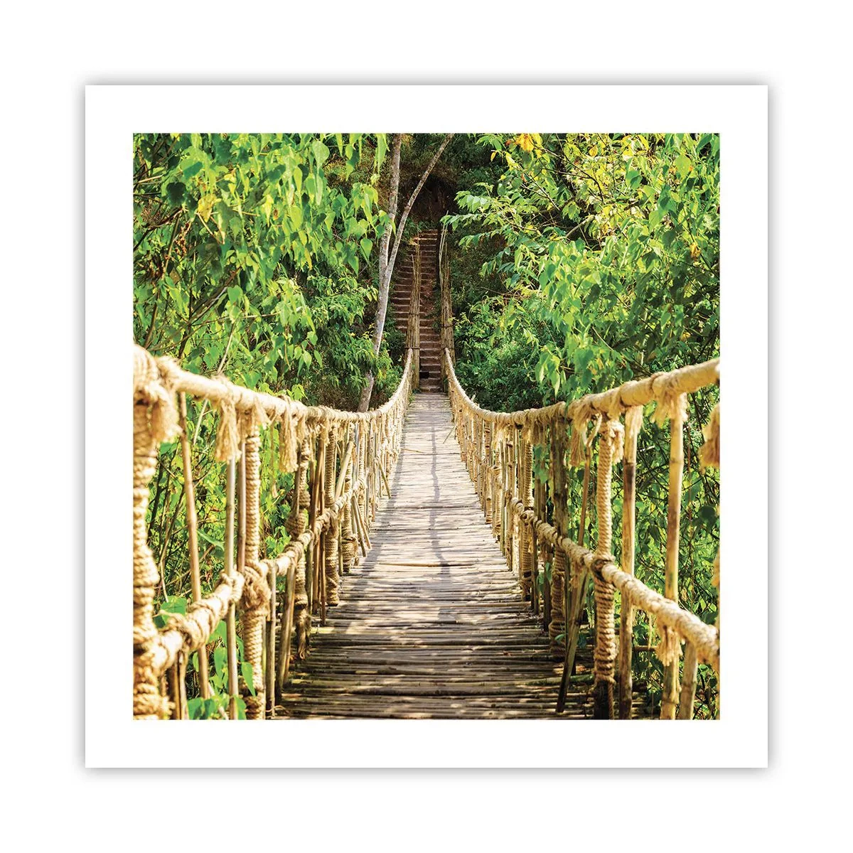 Poster - Im Grünen ausgesetzt - 50x50 cm