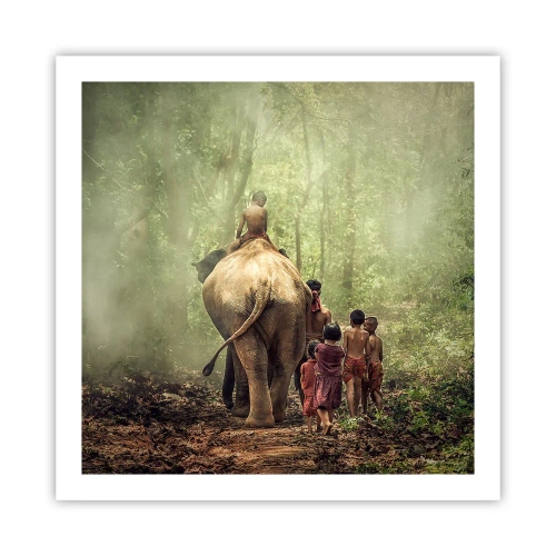 Poster - Neues Dschungelbuch - 60x60 cm