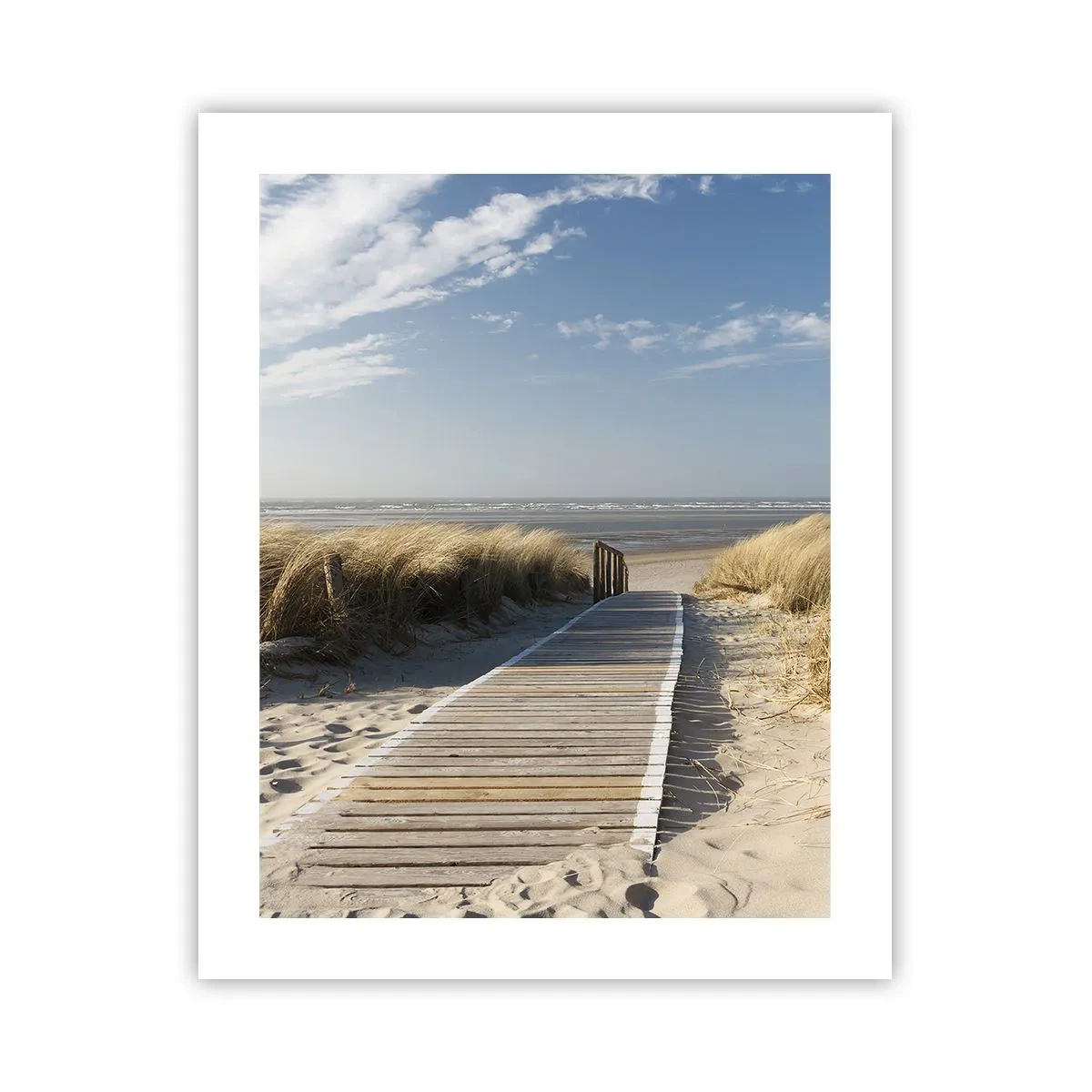 Poster - Hinter der Düne, im Rauschen des Grases - 40x50 cm