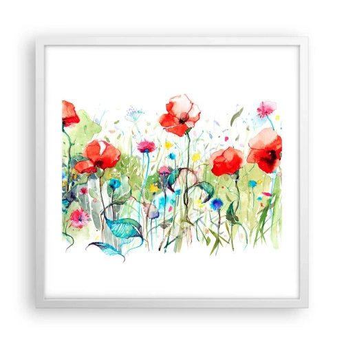 Poster in einem weißen Rahmen - Blühende Maiwiese - 50x50 cm