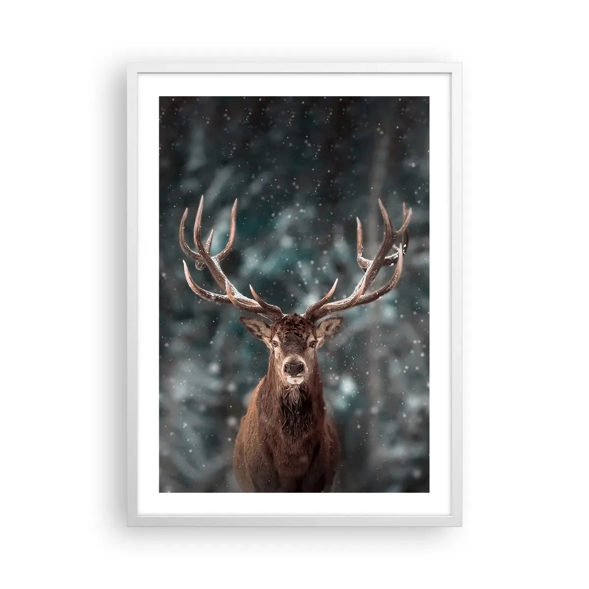 Poster in einem weißen Rahmen - Gekrönter König des Waldes - 50x70 cm
