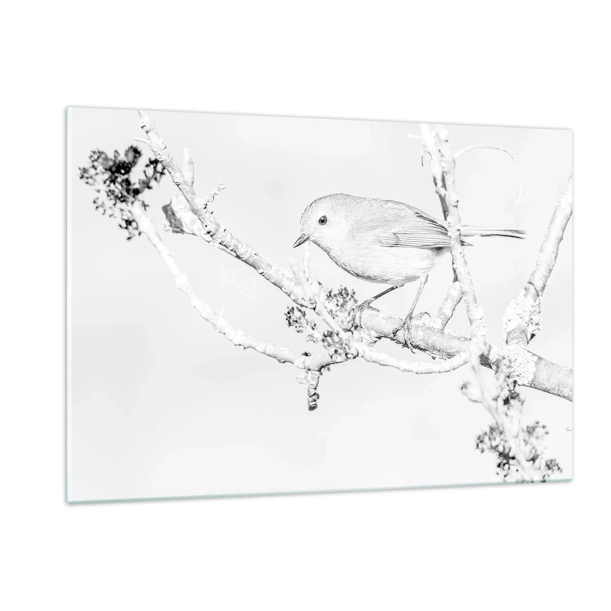 Glasbild - Bild auf glas - Ein Vogel sitzt auf einem Ast in einer monochromen Winterlandschaft. - 120x80cm - Wintermorgen - Moderne Wanddekoration für Wohnzimmer und Schlafzimmer ARTTOR