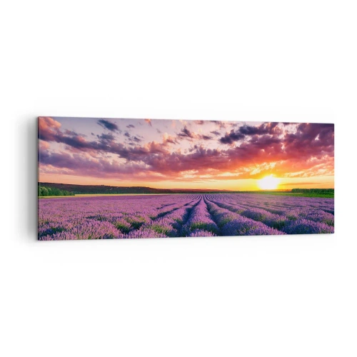 Bild auf Leinwand - Leinwandbild - Ein Lavendelfeld bei Sonnenuntergang mit einem farbenfrohen Himmel - 140x50cm - Lavendel Welt - Moderne Wanddekoration für Wohnzimmer und Schlafzimmer ARTTOR