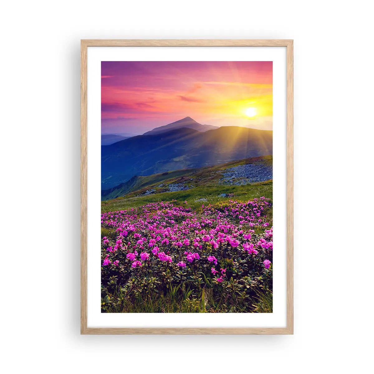 Poster in einem Rahmen aus heller Eiche - … Und drumherum duftet es nach Latschenkiefer und dem Duft von Kräutern - 50x70 cm