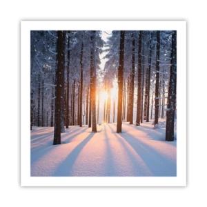 Poster - Ganz klar schwarz auf weiß - 60x60 cm