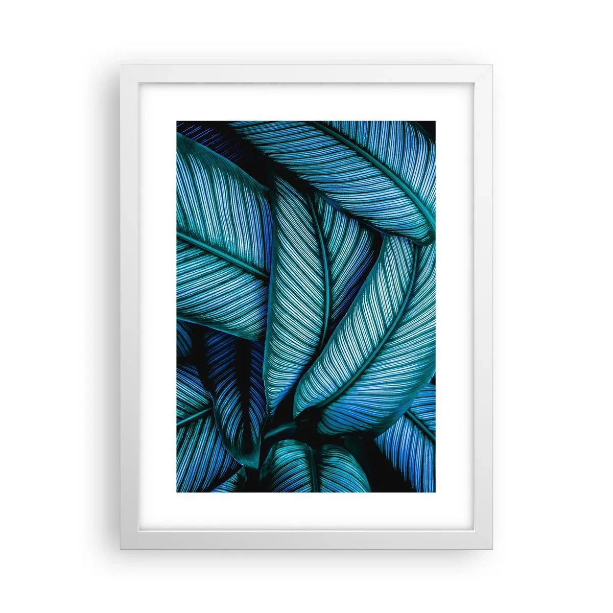 Poster in einem weißen Rahmen - Lebenslinien - 30x40 cm