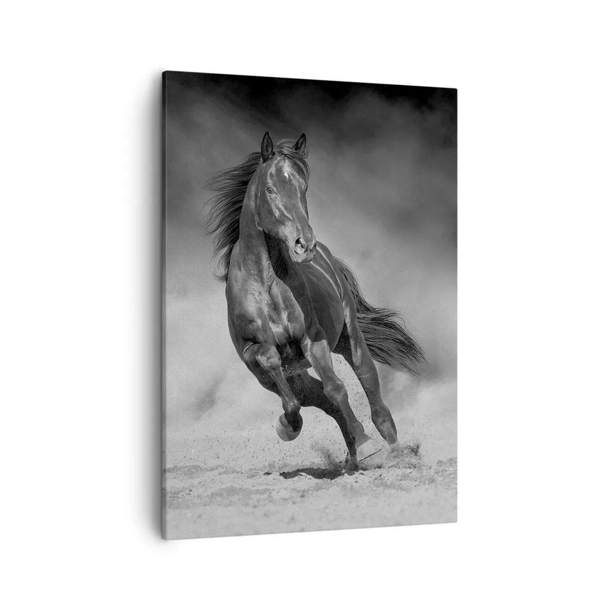 Bild auf Leinwand - Leinwandbild - Ein schwarz-weißes Pferd galoppiert über den Sand - 50x70cm - Würdig des Emirs selbst - Moderne Wanddekoration für Wohnzimmer und Schlafzimmer ARTTOR