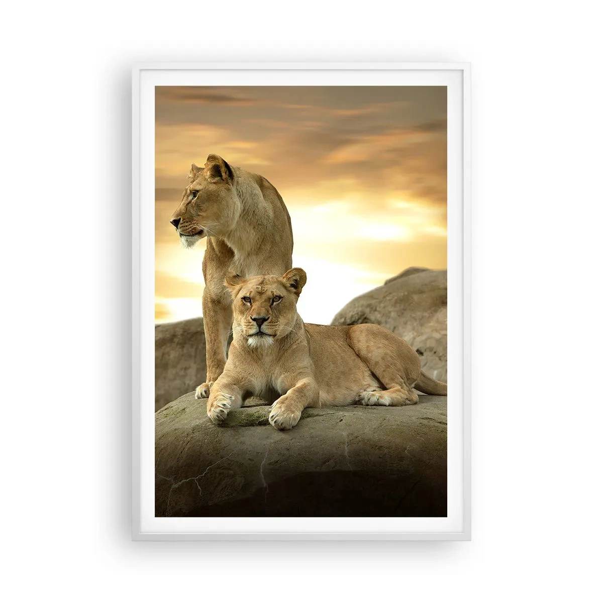 Poster in einem weißen Rahmen - Königliche Majestät - 70x100 cm