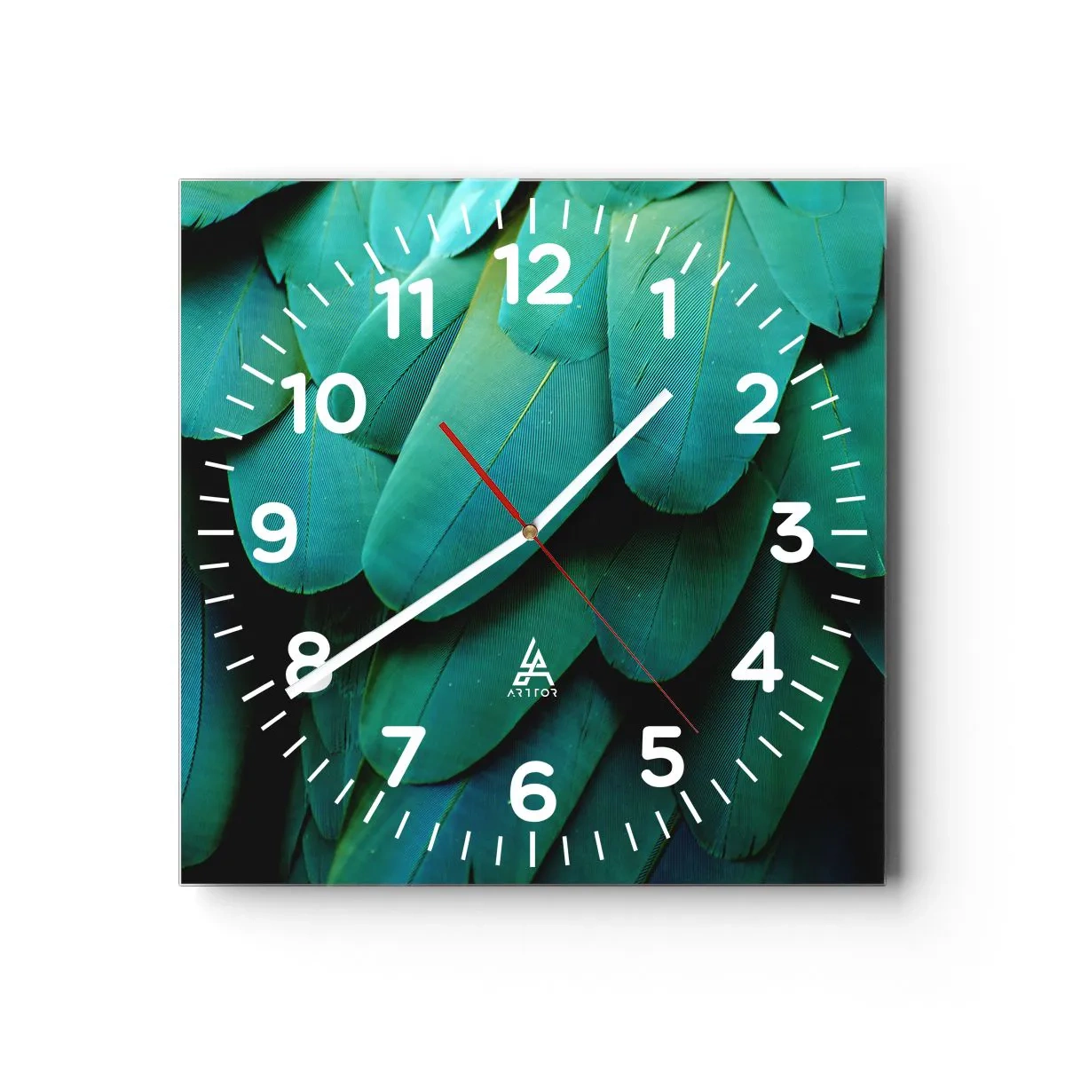 Wanduhr - Glasuhr - Papageienartige Präzision - 40x40 cm