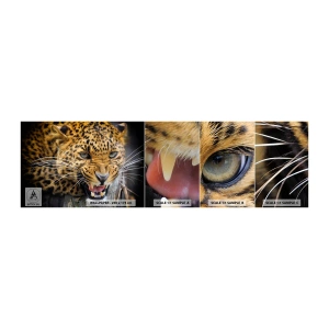 Fototapeten Muster Selbstklebend Deluxe Sticker - Bleib zurück, ich warne dich! - Tiere, Leopard, Wilde Katze - 100x30 cm